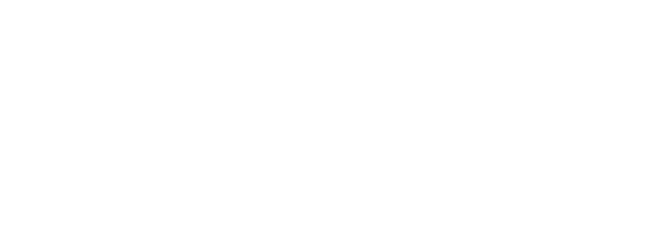 コミュ力0の花嫁が行く-18ｍのバージンロードへの道のり-